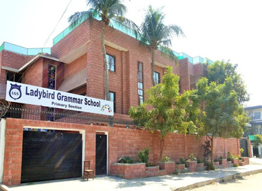 LADYBIRD GRAMMAR SEC. SCHOOL School In Karachi - Taleemi Hub