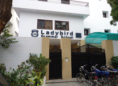 Ladybird Grammar School Block J School In Karachi - Taleemi Hub