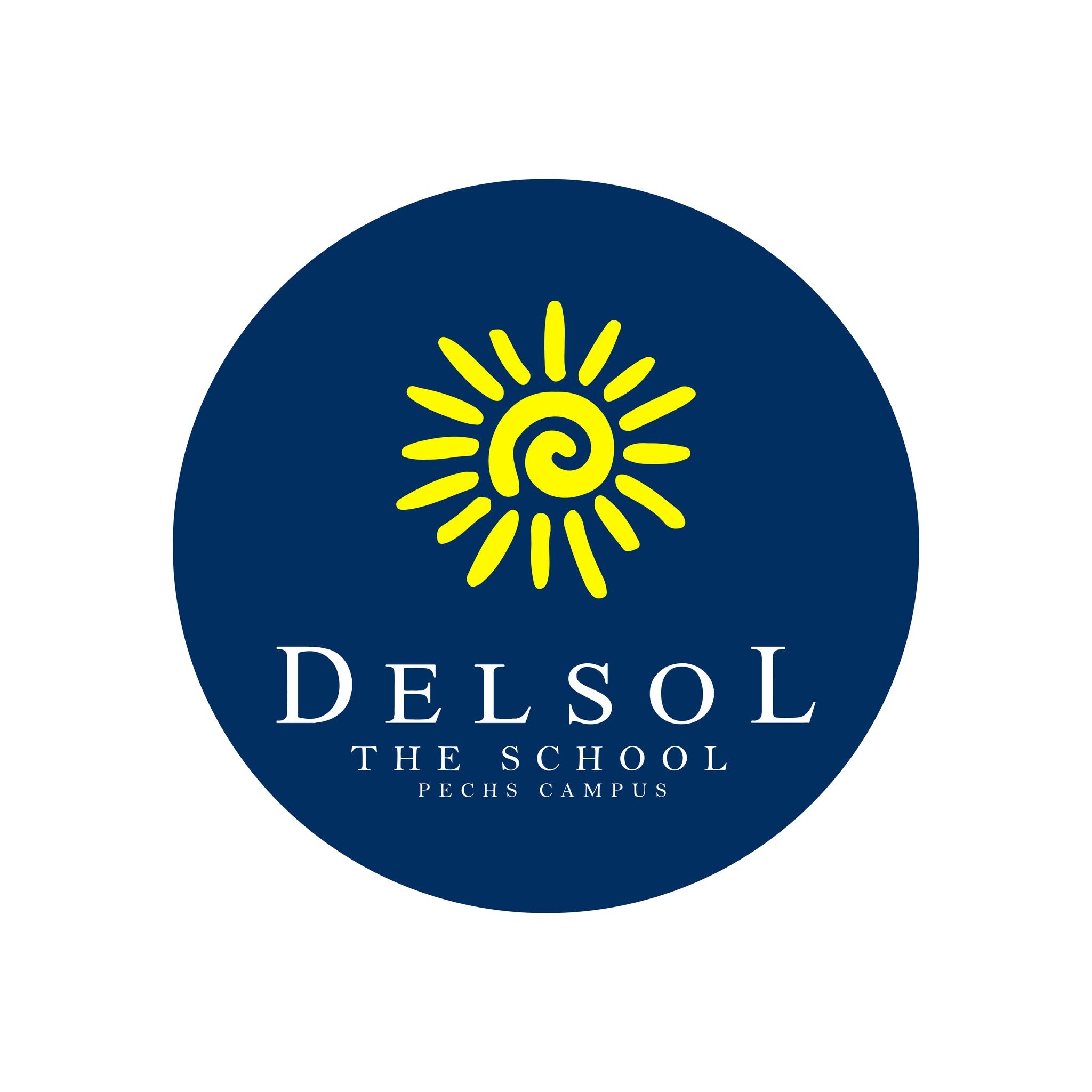 Delsol The School – PECHS Campus School In Karachi - Taleemi Hub