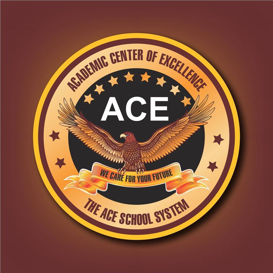 The ACE SCHOOL SYSTEM
